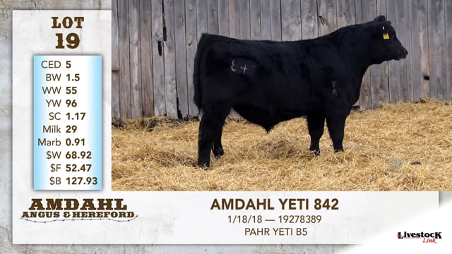 Lot #19 - AMDAHL YETI 842
