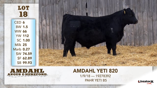 Lot #18 - AMDAHL YETI 820