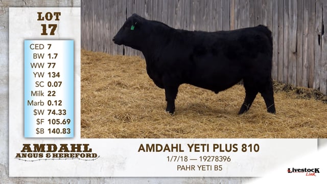 Lot #17 - AMDAHL YETI PLUS 810