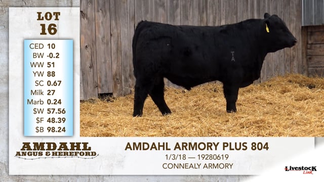 Lot #16 - AMDAHL ARMORY PLUS 804
