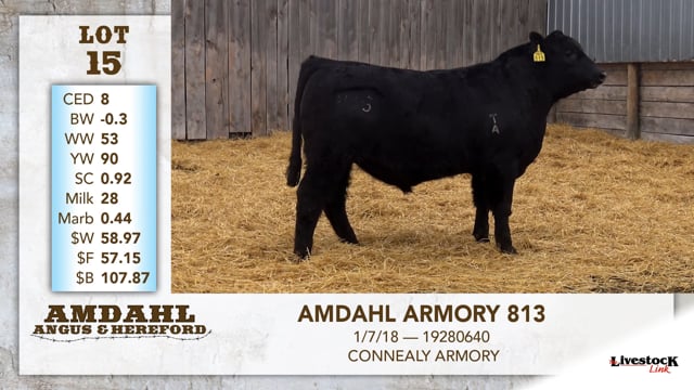 Lot #15 - AMDAHL ARMORY 813