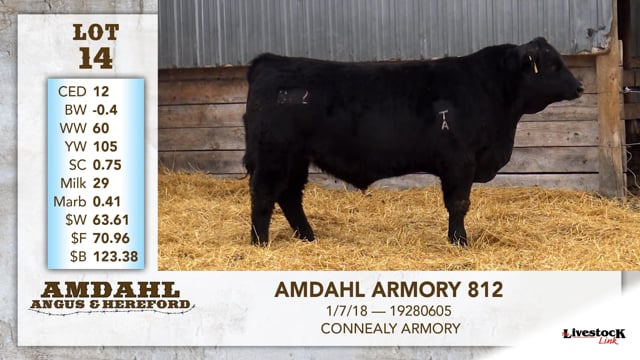 Lot #14 - AMDAHL ARMORY 812