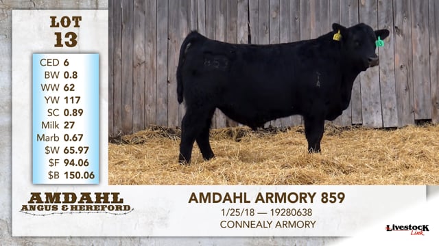 Lot #13 - AMDAHL ARMORY 859
