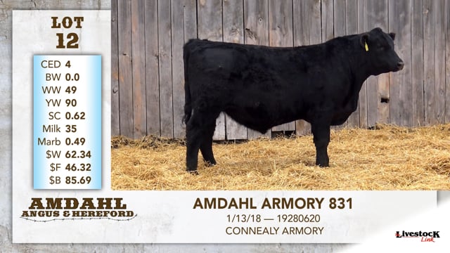 Lot #12 - AMDAHL ARMORY 831