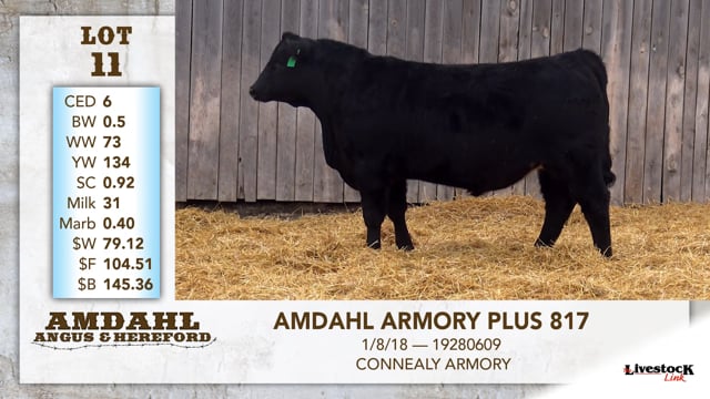 Lot #11 - AMDAHL ARMORY PLUS 817