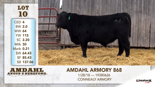 Lot #10 - AMDAHL ARMORY 868