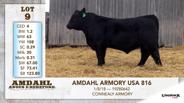 Lot #9 - AMDAHL ARMORY USA 816