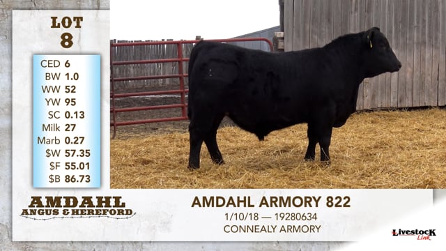 Lot #8 - AMDAHL ARMORY 822