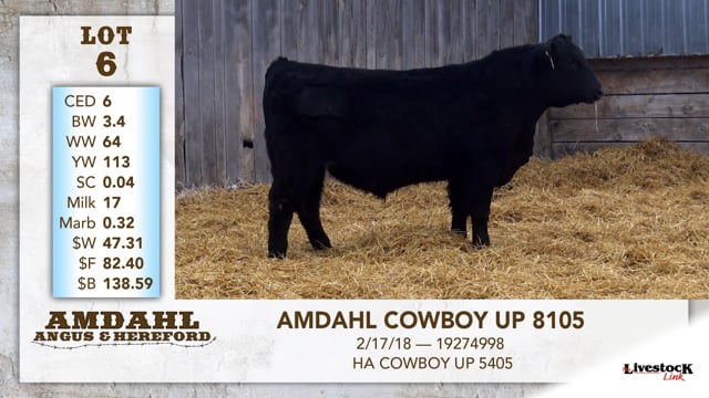 Lot #6 - AMDAHL COWBOY UP 8105