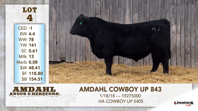 Lot #4 - AMDAHL COWBOY UP 843