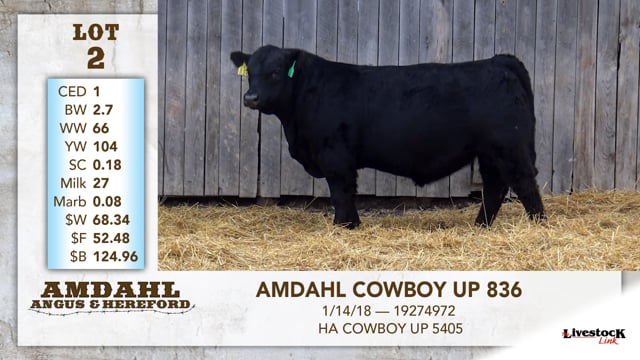 Lot #2 - AMDAHL COWBOY UP 836