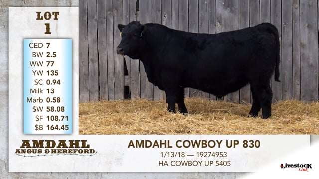 Lot #1 - AMDAHL COWBOY UP 830