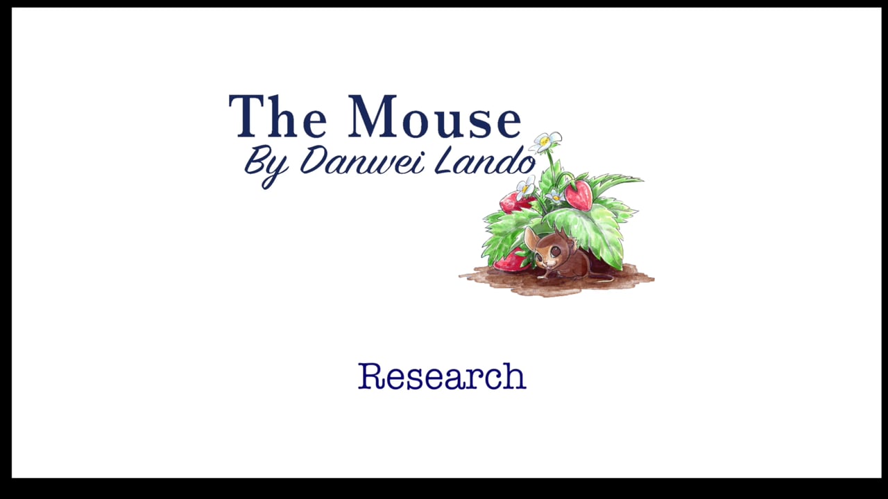 The Mouse: Research