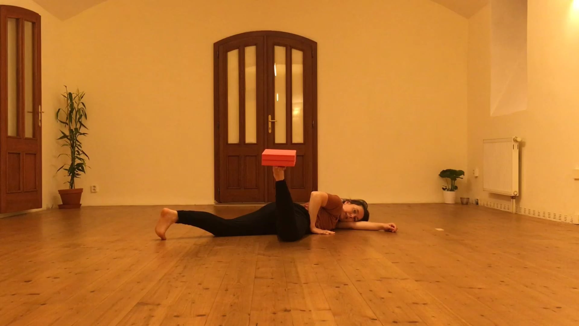 Úvod do mobilizace kyčlí jógově nejógově s Veronikou Š