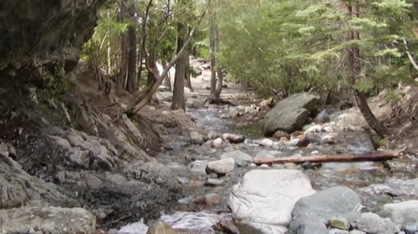 PSYCH-K® — High Speed Mindset Change