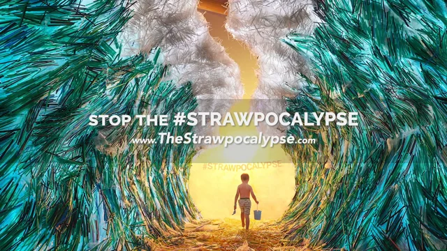 Why Straws Matter - Guinness World Record (largest straw installation) -  ft. Steve Connell and The #Strawpocalypse