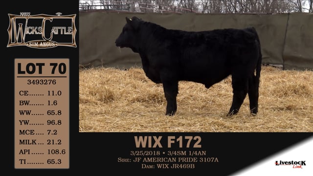 Lot #70 - WIX F172