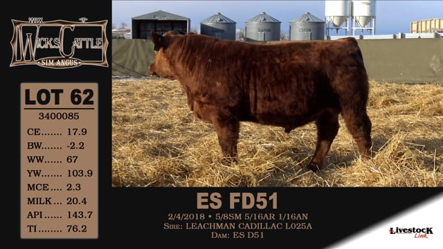 Lot #62 - ES FD51