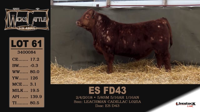 Lot #61 - EX FD43