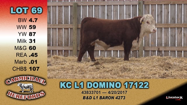 Lot #69 - KC L1 DOMINO 17122