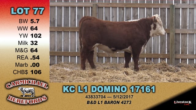 Lot #77 - KC L1 DOMINO 17161