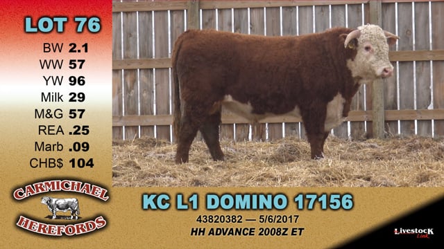 Lot #76 - KC L1 DOMINO 17156