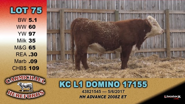 Lot #75 - KC L1 DOMINO 17155