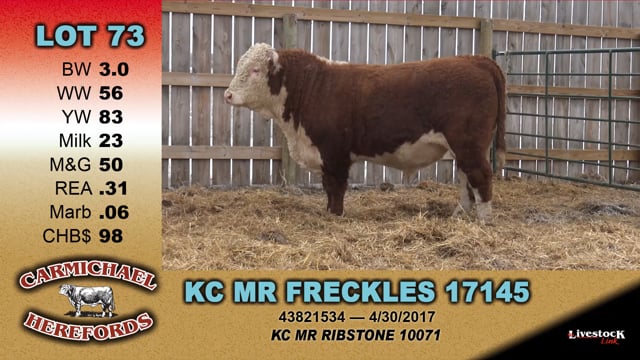 Lot #73 - KC MR FRECKLES 17145