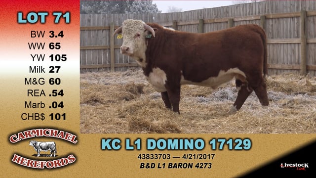 Lot #71 - KC L1 DOMINO 17129