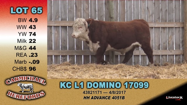 Lot #65 - KC L1 DOMINO 17099