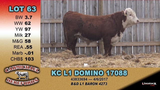 Lot #63 - KC L1 DOMINO 17088