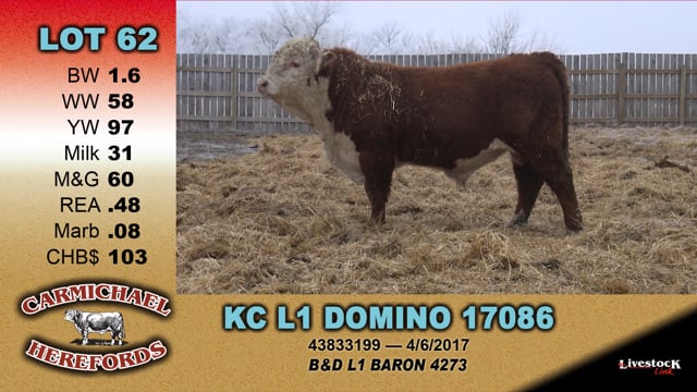 Lot #62 - KC L1 DOMINO 17086