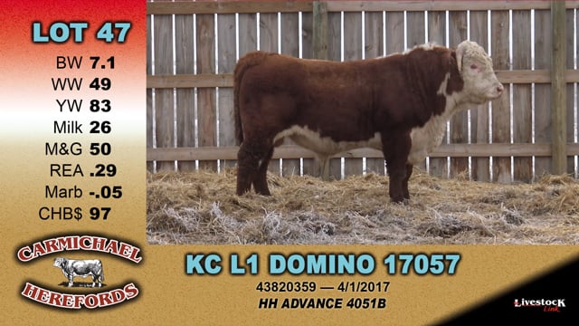 Lot #47 - KC L1 DOMINO 17057
