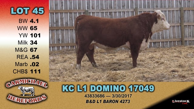 Lot #45 - KC L1 DOMINO 17049