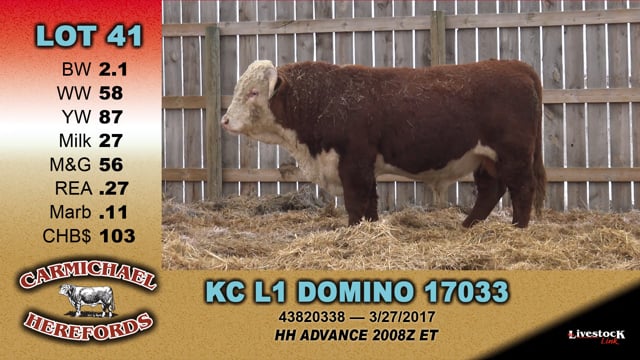 Lot #41 - KC L1 DOMINO 17033