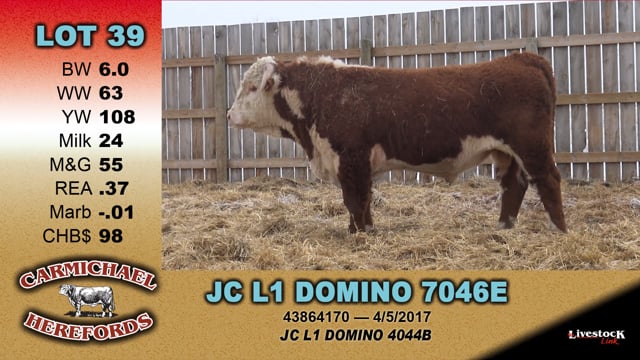 Lot #39 - JC L1 DOMINO 7046E