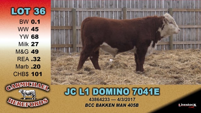 Lot #36 - JC L1 DOMINO 7041E