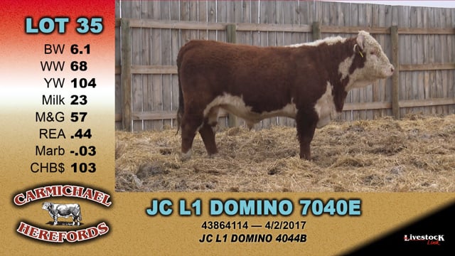 Lot #35 - JC L1 DOMINO 7040E