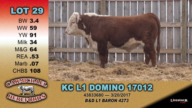 Lot #29 - KC L1 DOMINO 17012