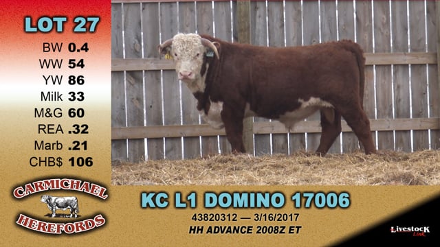 Lot #27 - KC L1 DOMINO 17006