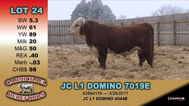Lot #24 - JC L1 DOMINO 7019E
