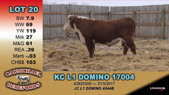 Lot #20 - KC L1 DOMINO 17004