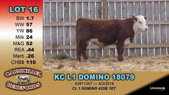 Lot #16 - KC L1 DOMINO 18079