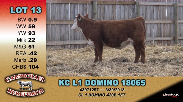 Lot #13 - KC L1 DOMINO 18065