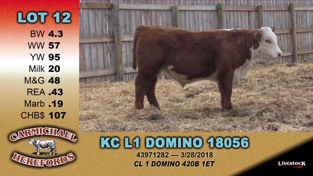 Lot #12 - KC L1 DOMINO 18056