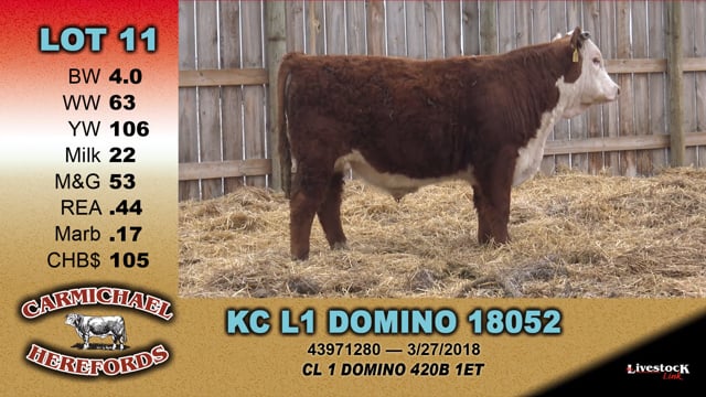 Lot #11 - KC L1 DOMINO 18052