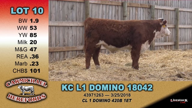 Lot #10 - KC L1 DOMINO 18042