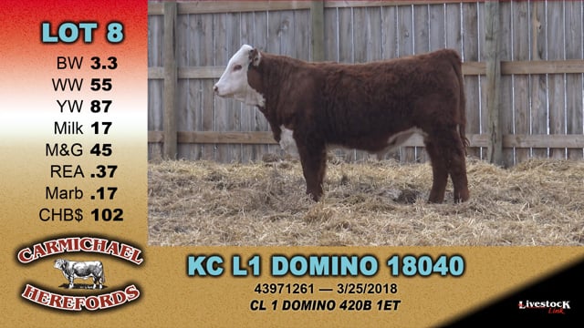 Lot #8 - KC L1 DOMINO 18040
