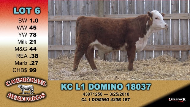 Lot #6 - KC L1 DOMINO 18037