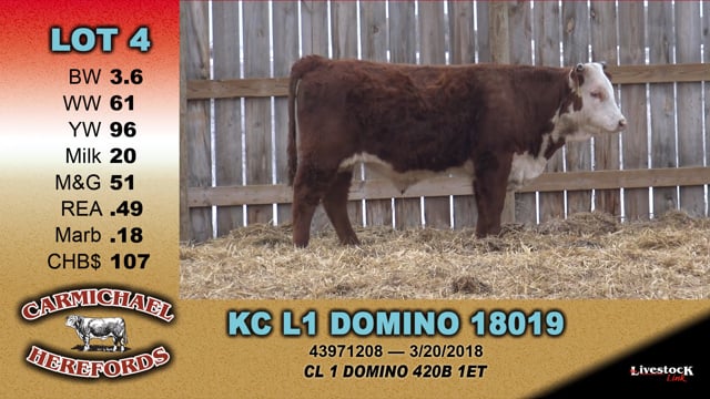 Lot #4 - KC L1 DOMINO 18019